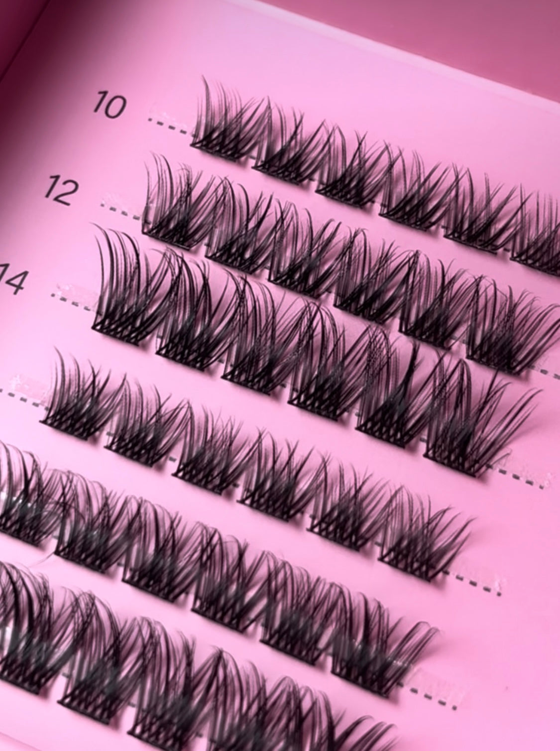 Lashextension Kit