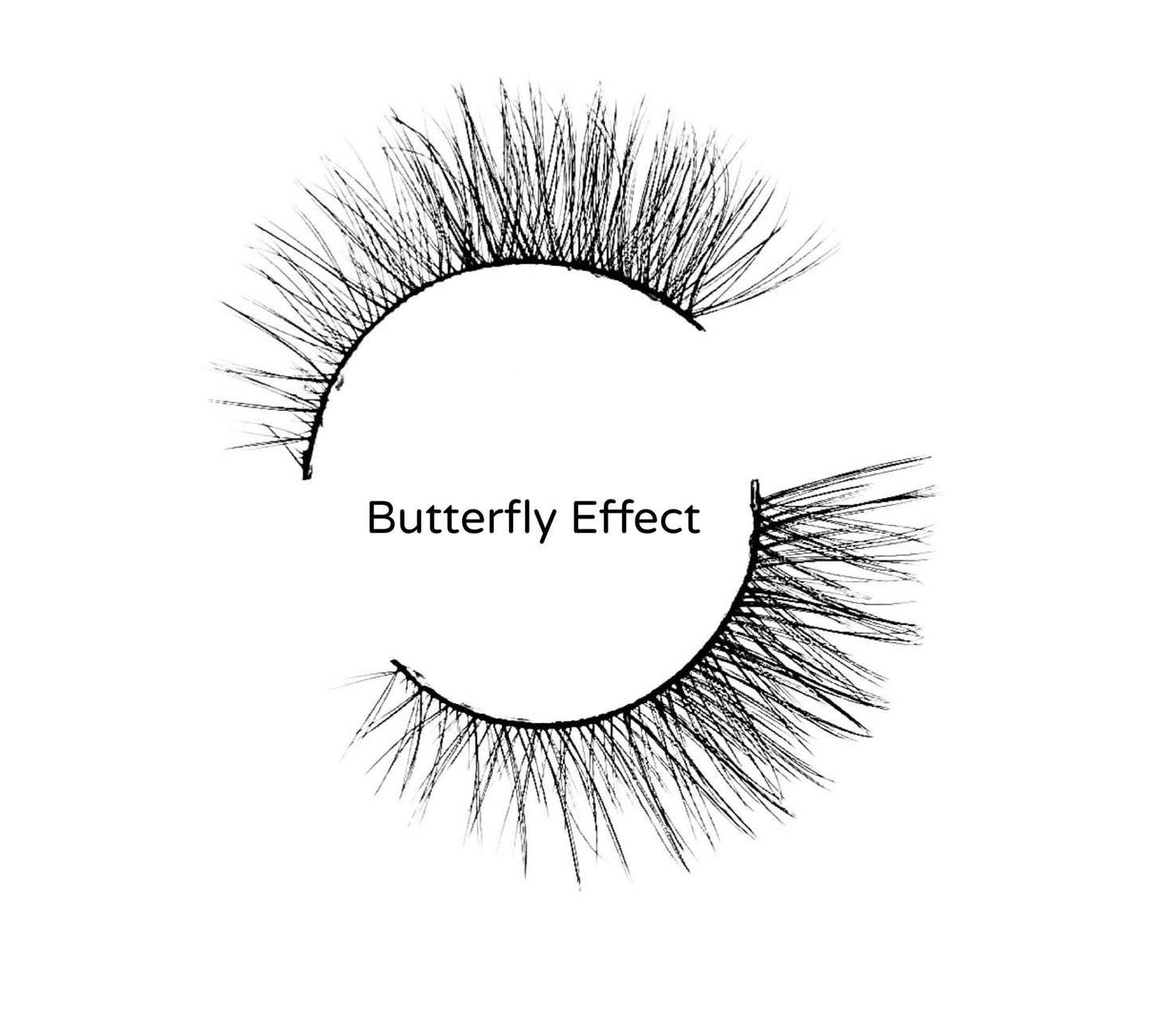 “ Butterfly Effect “ Mink Lashes